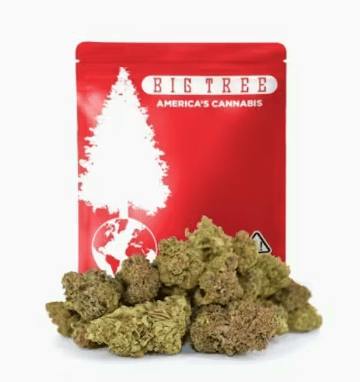 Big Tree - Skywalker OG | 14g