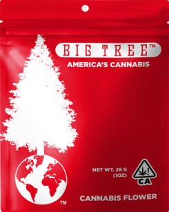 Big Tree - Skywalker OG | 28g - 14 items