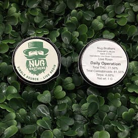 Nug Bro - Daily Operation - Live Rosin 1g