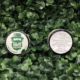Nug Brothers - Watermelon Dream- Live Rosin 1g