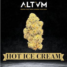 ALTVM - Bulk Flower - Hot Ice Cream