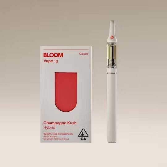 BLOOM: Apricot Punch - 510