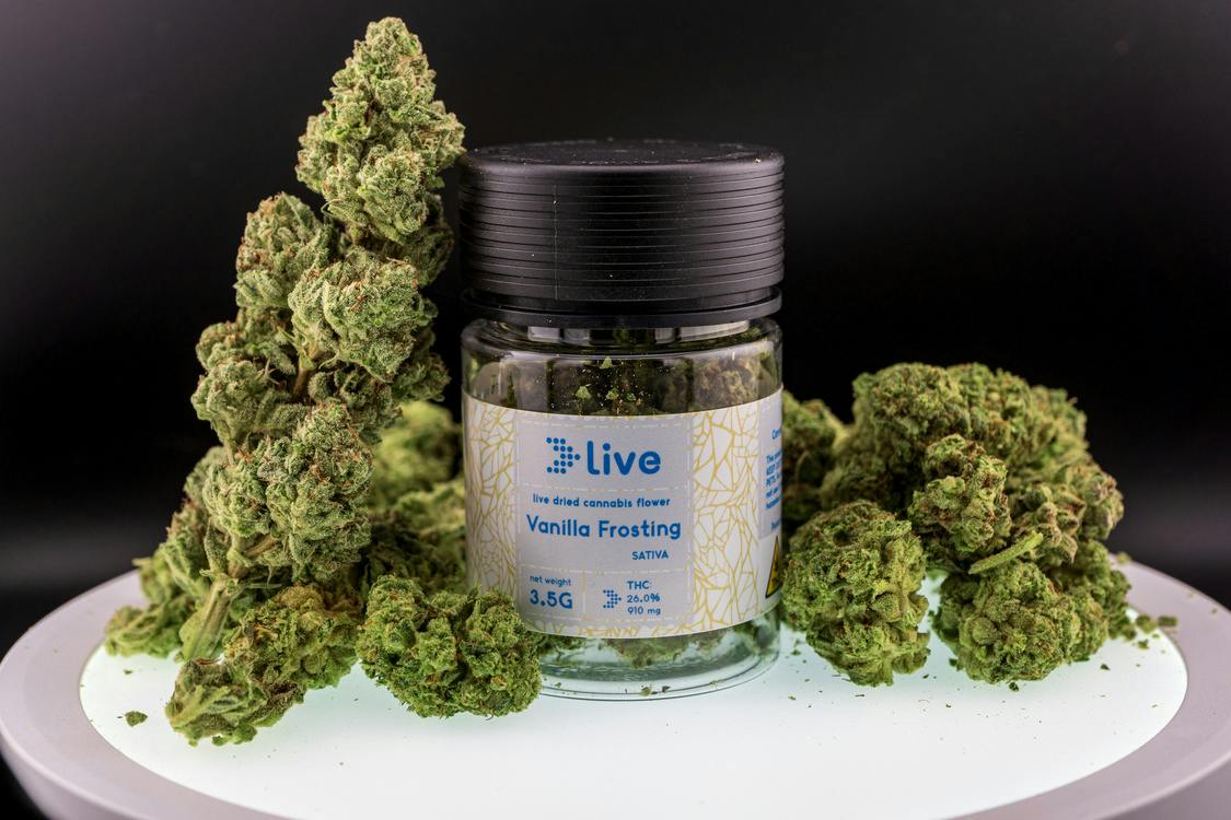 Live-Vanilla Frosting-Flower