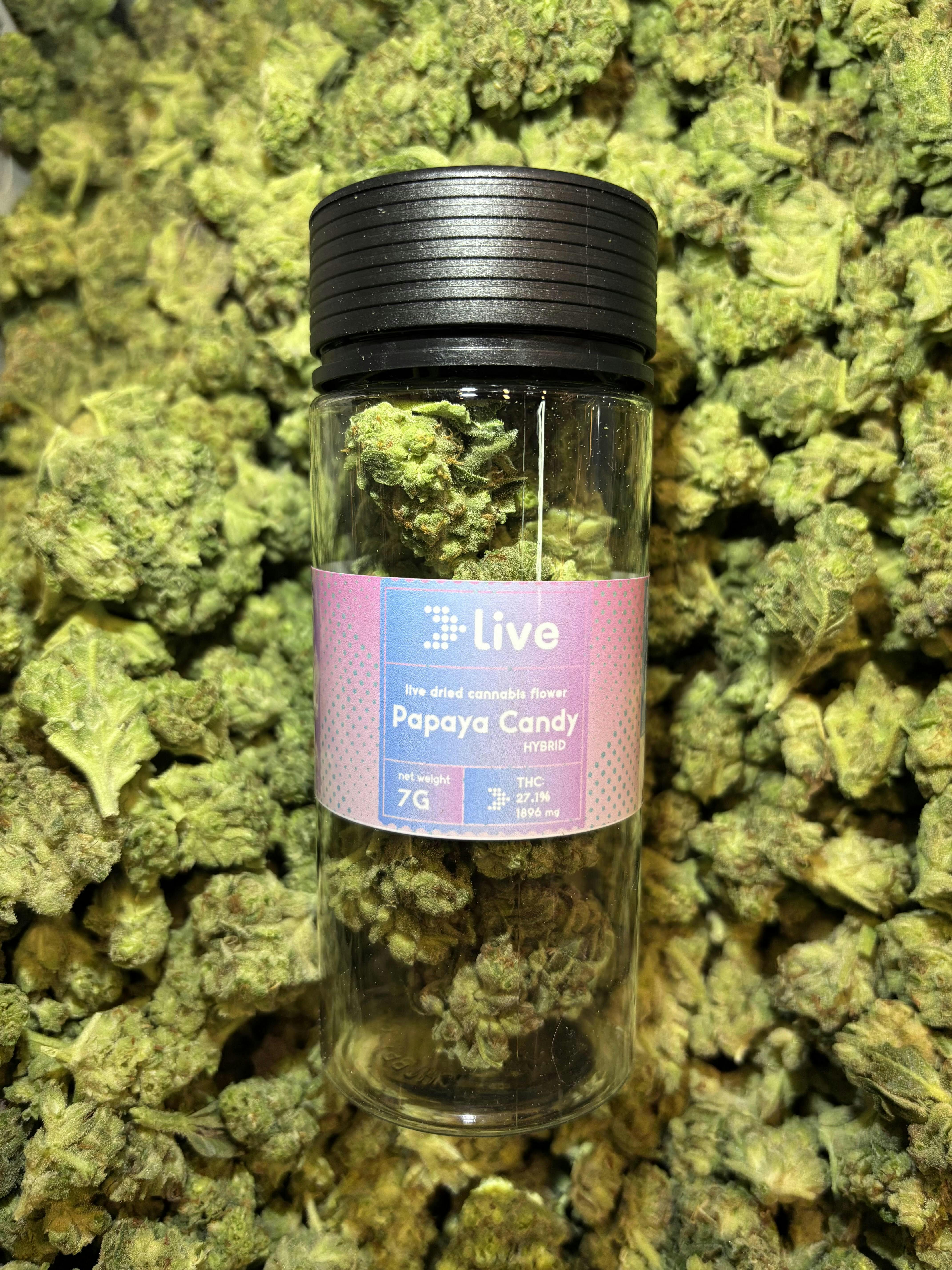 Live - Papaya Candy - Flower