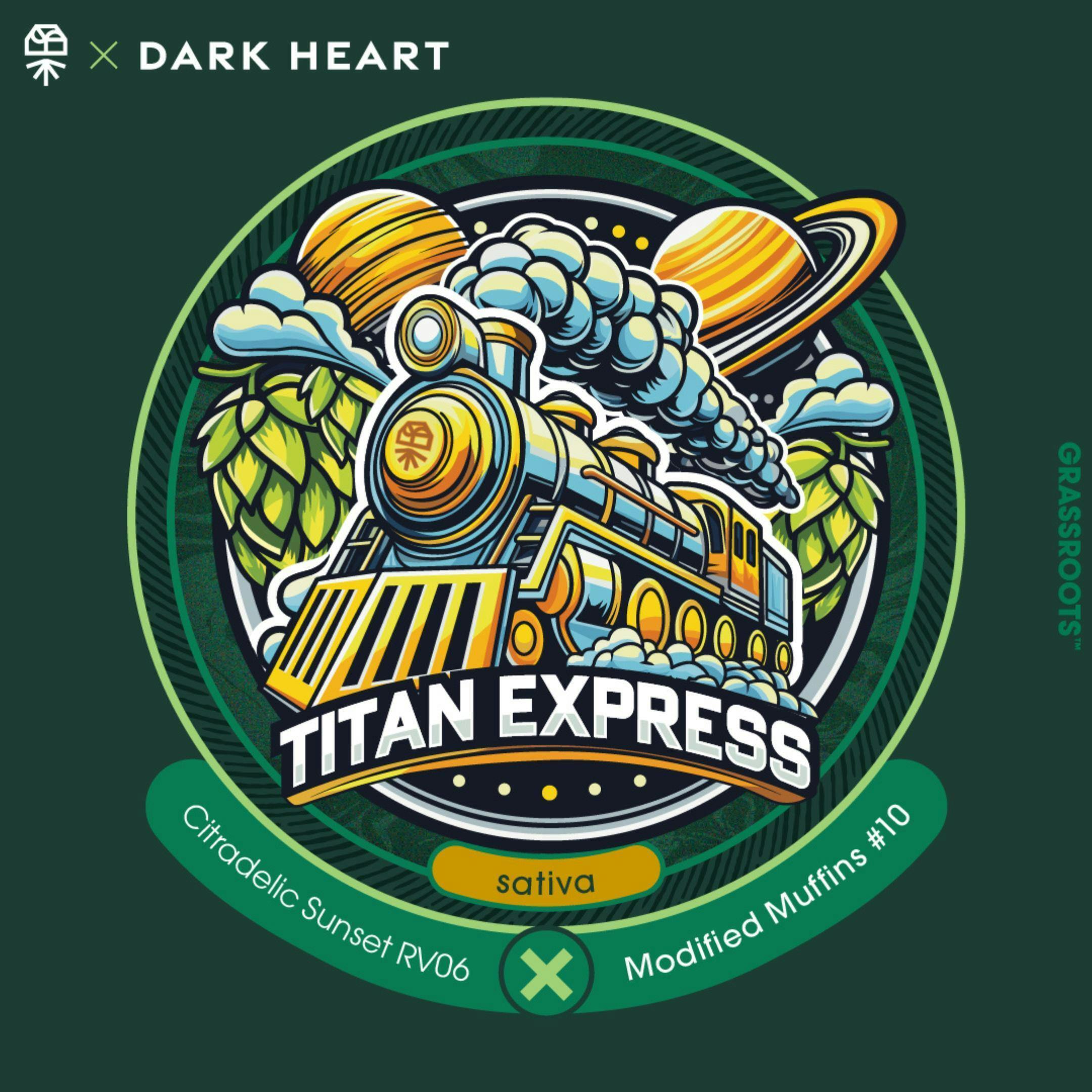 Grassroots Dark Heart Collection - Flower - Titan Express