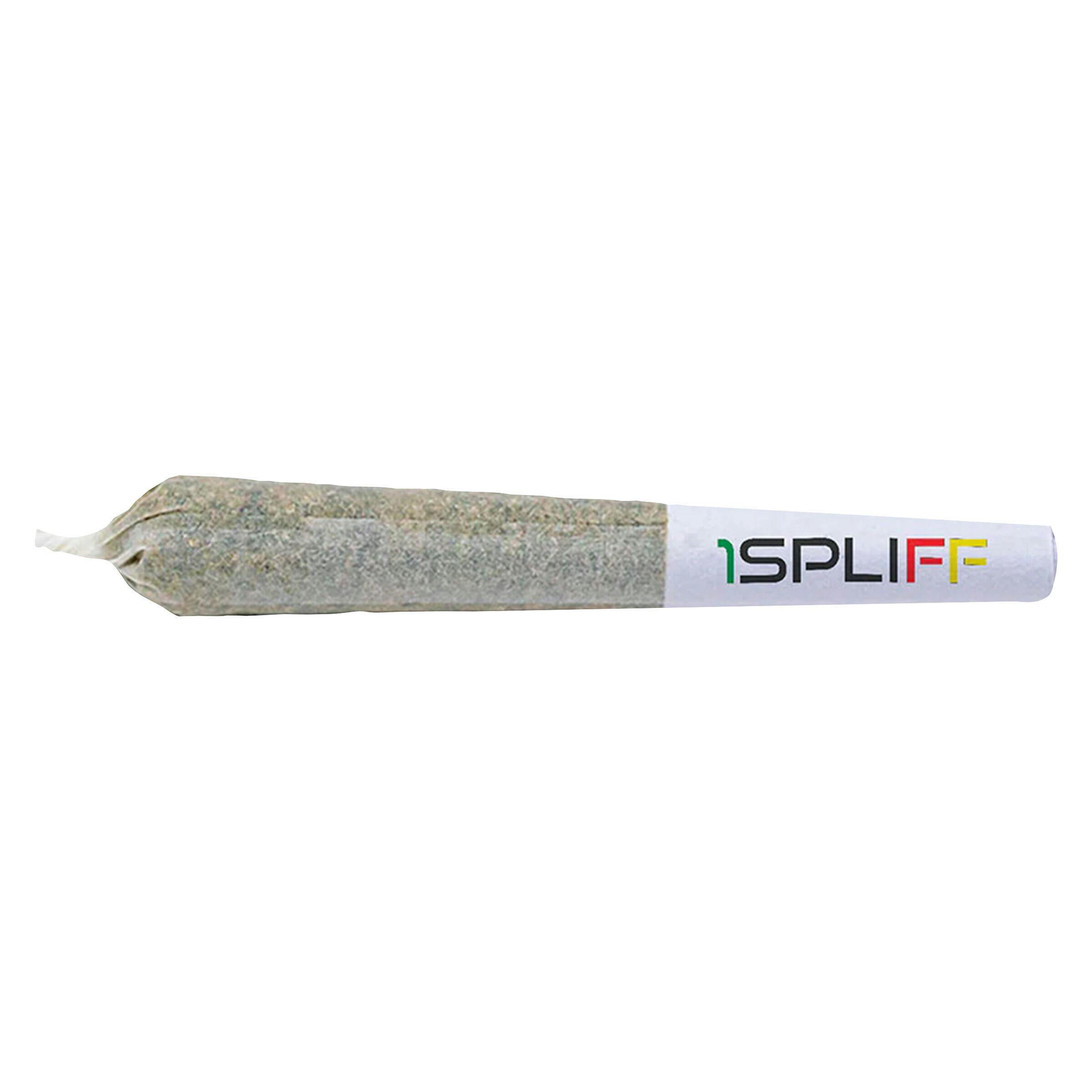 Sampler Collection 12x0.5g Pre-Rolls