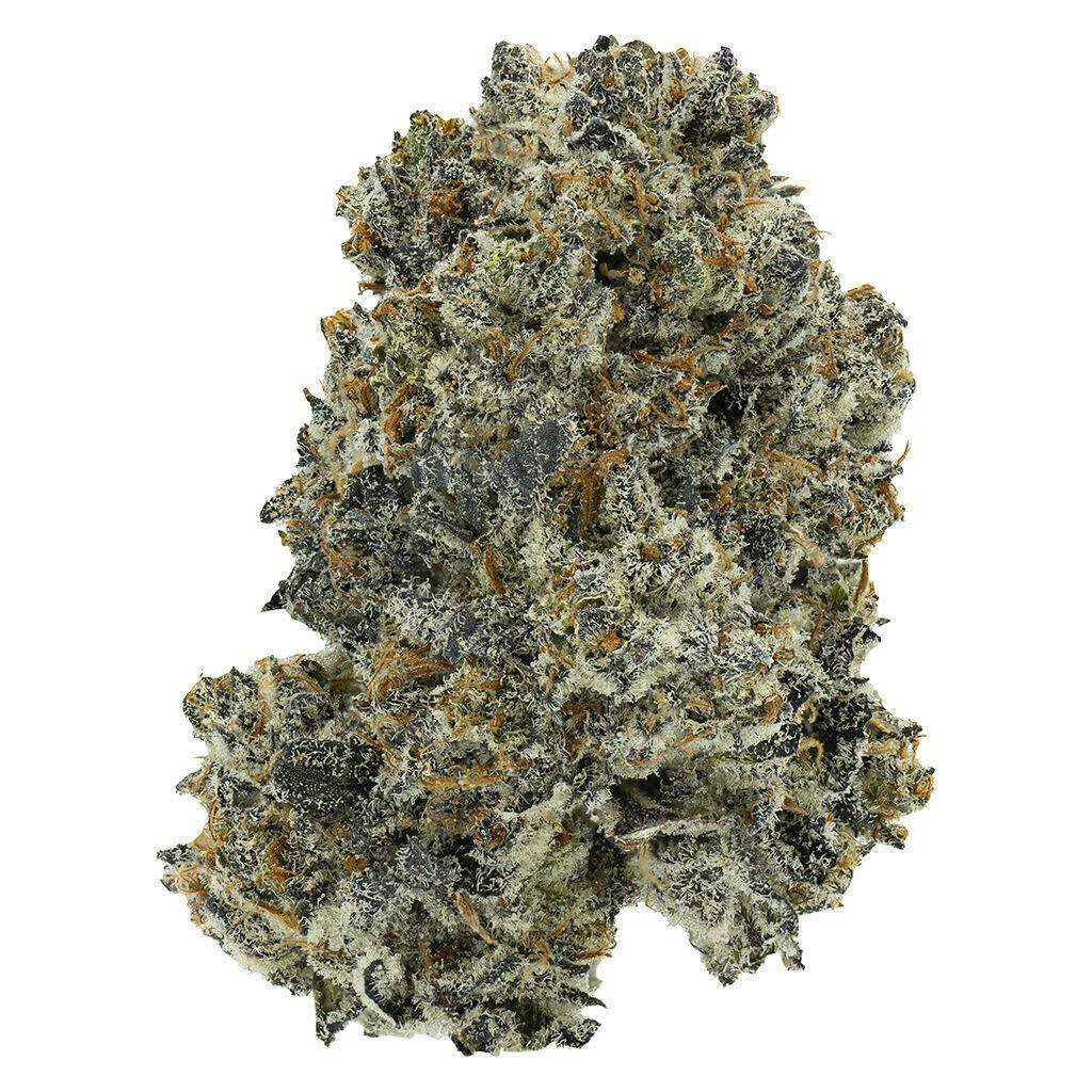 Dreamcatcher 28g Dried Flower