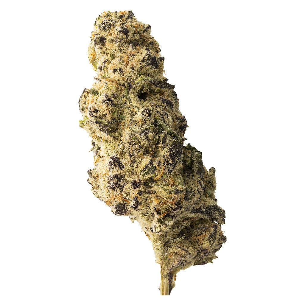 BIG Craft Eighth 3.5g Dried Flower