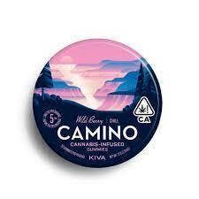 Camino Gummies: Wild Berry