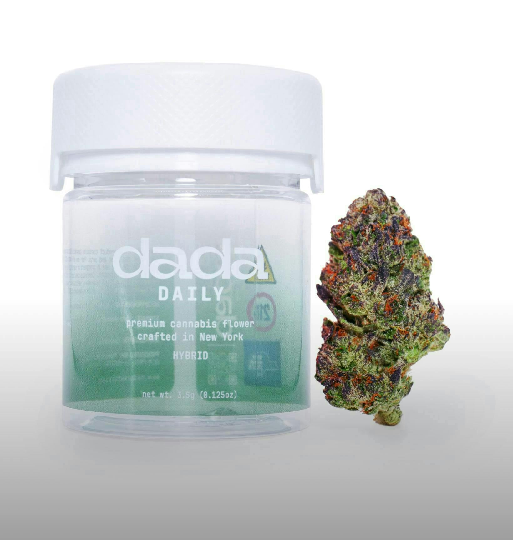 Dada Exotics - Govt Oasis - 3.5g Flower