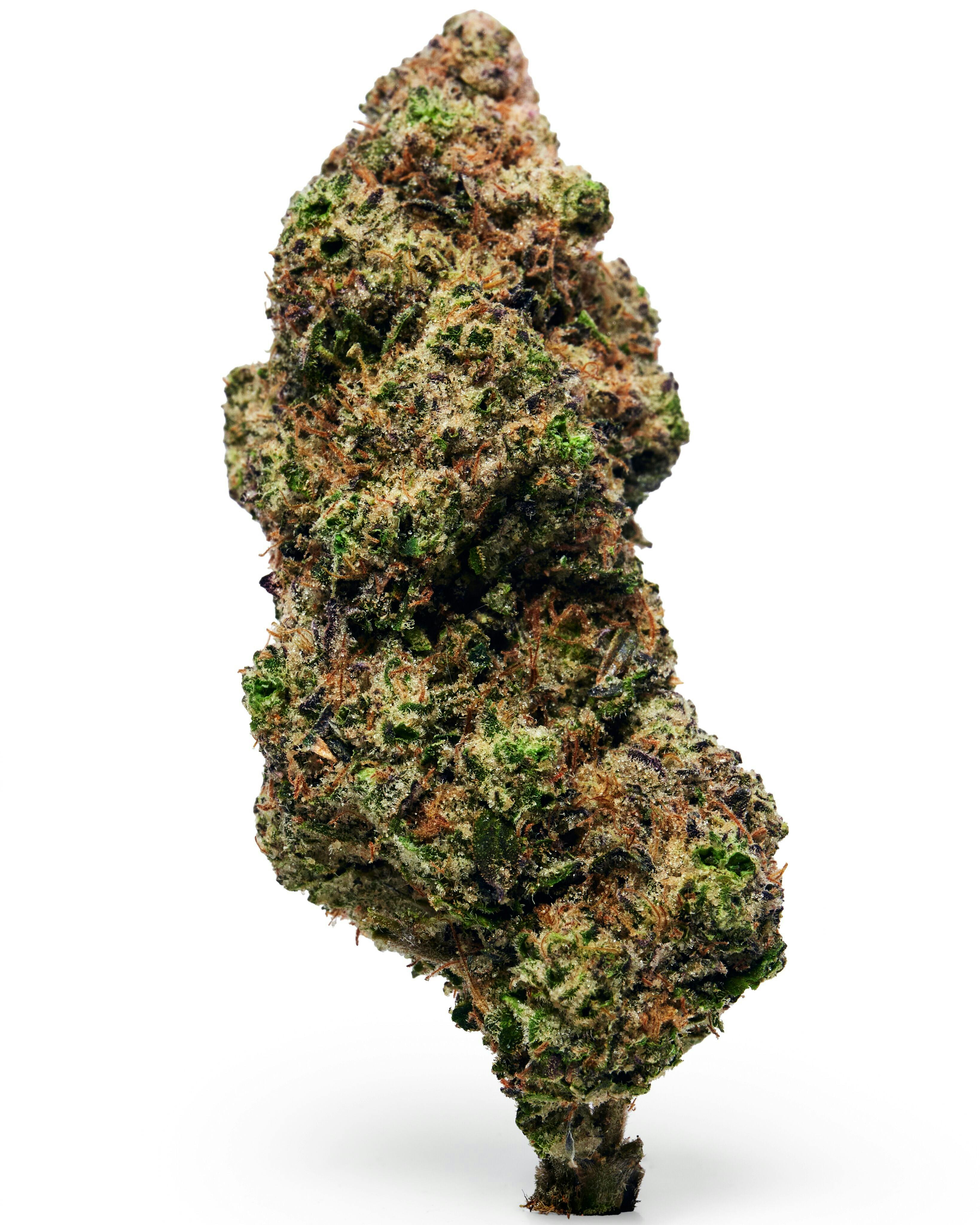 Dada Exotics - Hash Burger #3 - 3.5g Flower