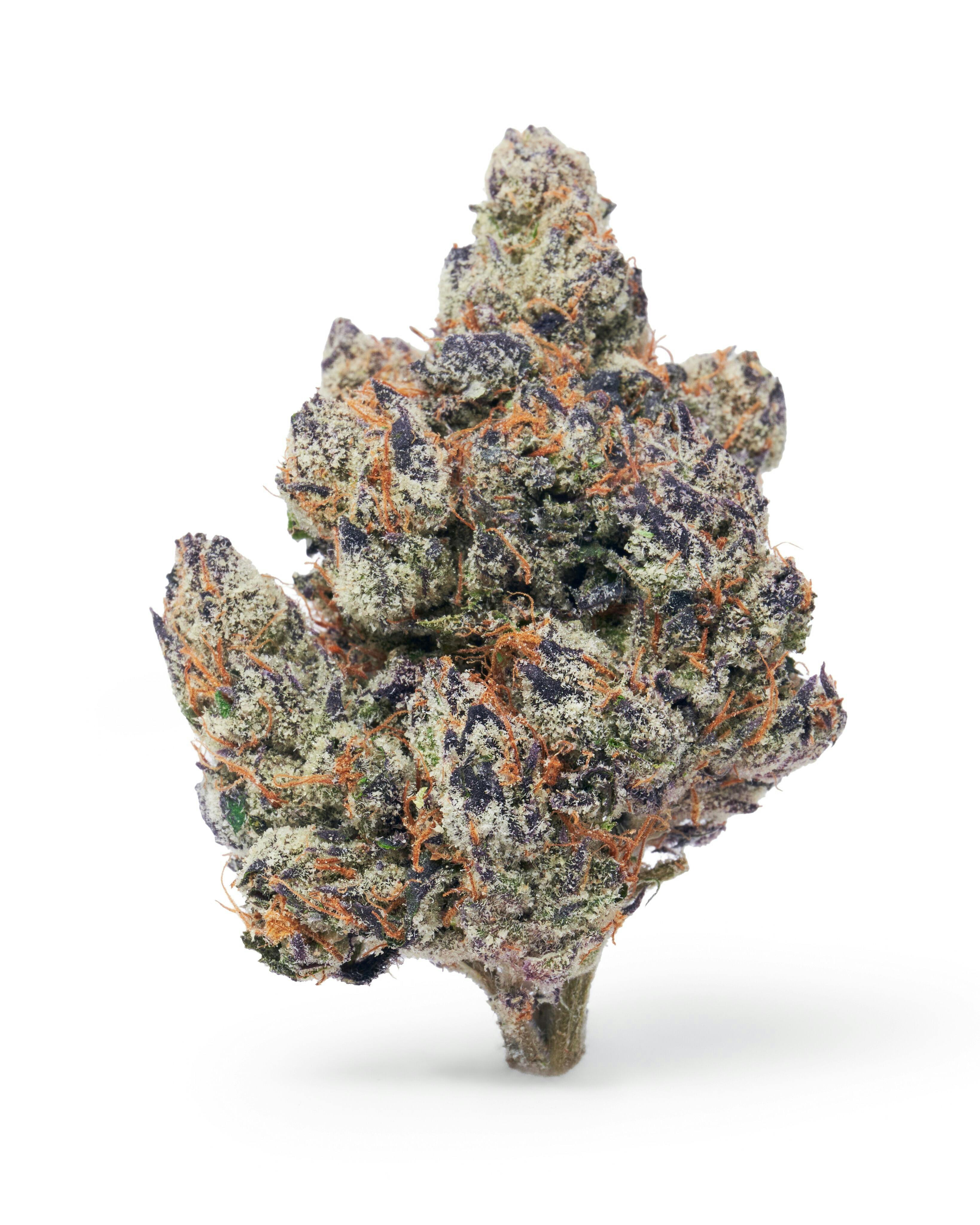 Dada Exotics - Sour Gusherz - 3.5g Flower