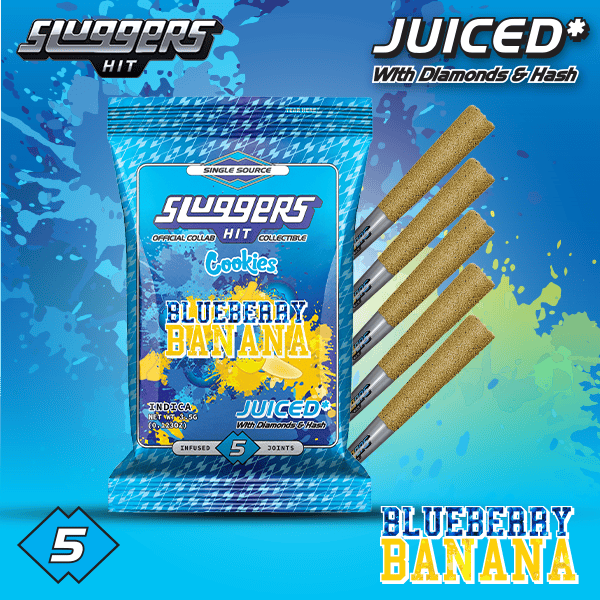 Sluggers: Multipack - Blueberry Banana