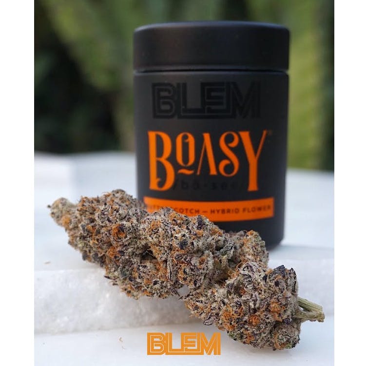 BLEM — Boasy