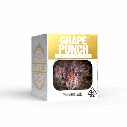 Decibel Gardens - — Grape Punch