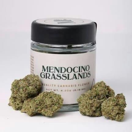 Mendocino Grasslands - Lip Smacker - 4.2 g