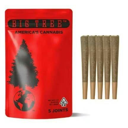 Big Tree - Jelly Rancher 5pk Pre Rolls - 5 g