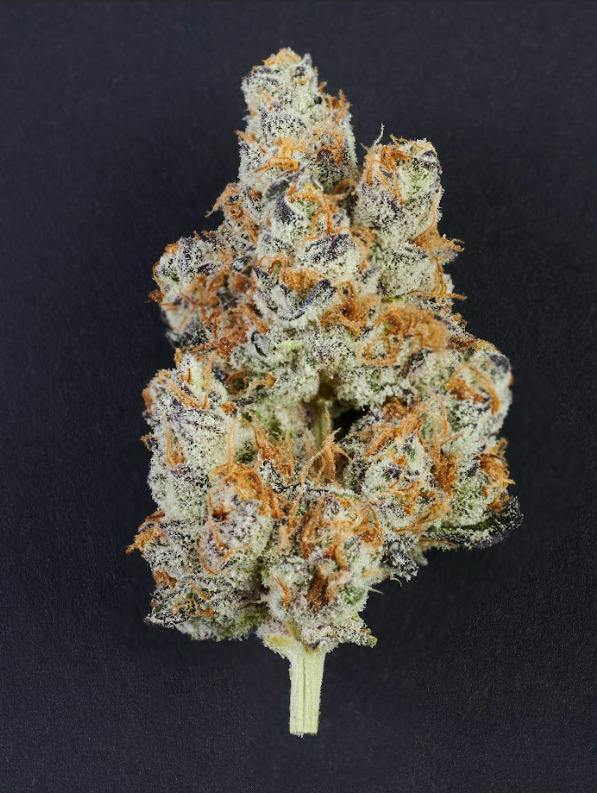Gypsie Road Flower