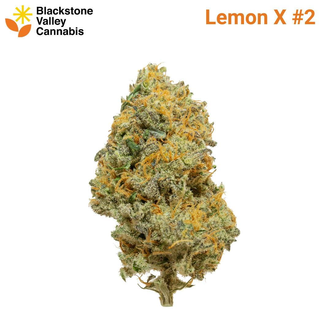 Lemon X #2 Flower cannabis product