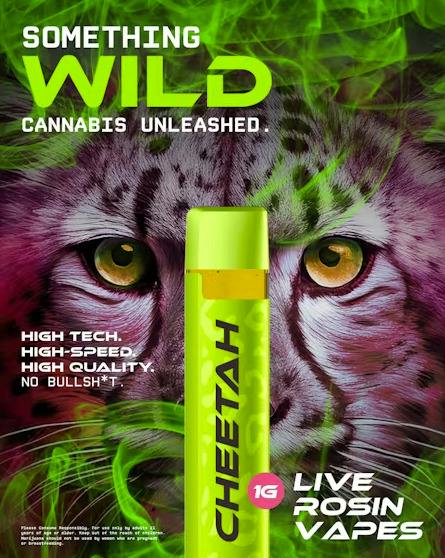 Gelato Cream Cake Live Rosin Disposable Vape