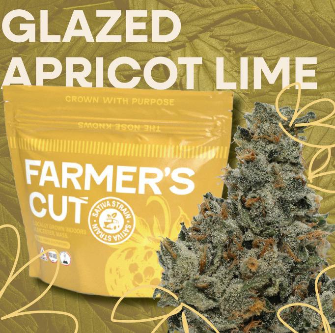 Glazed Apricot Lime Flower