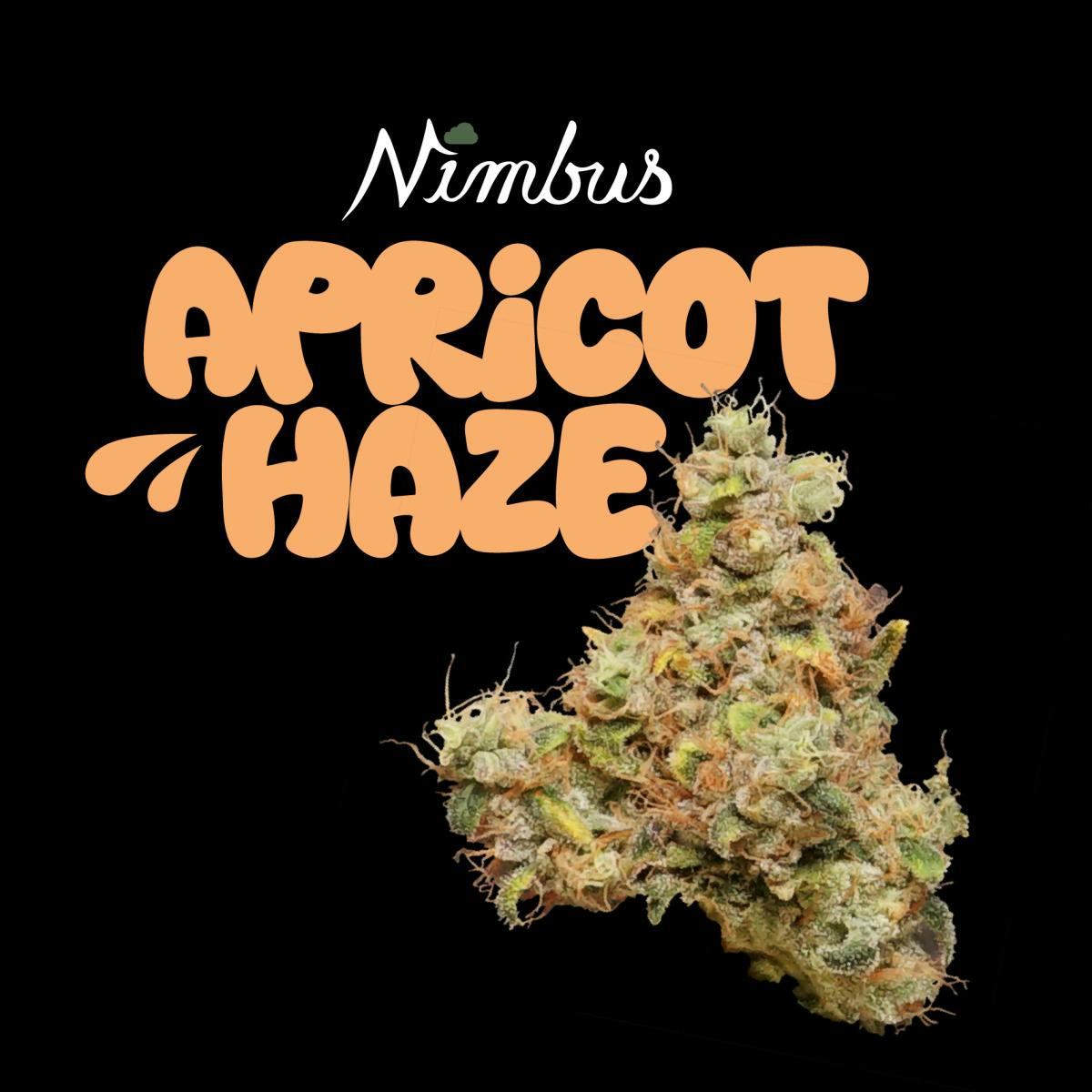 Apricot Haze Flower