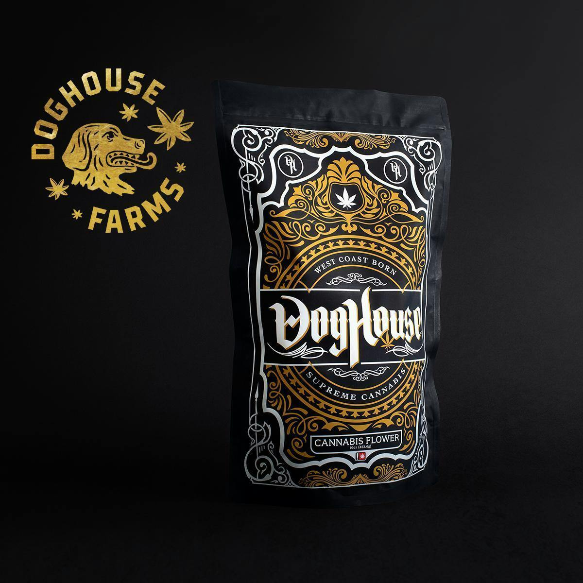 Doghouse | Papa Burger
