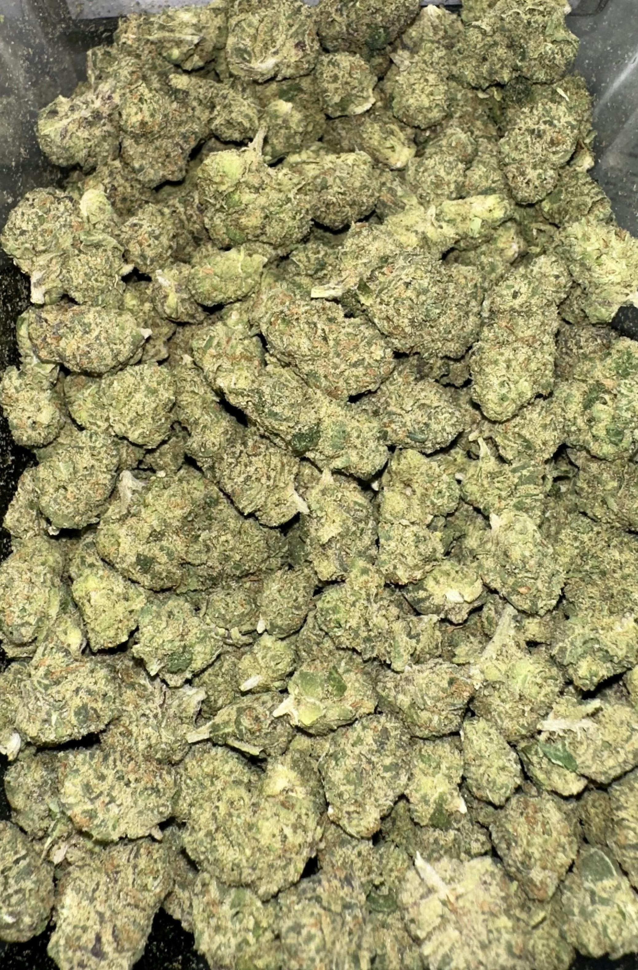 Great Weed | Miami Runtz Punch cannabis product
