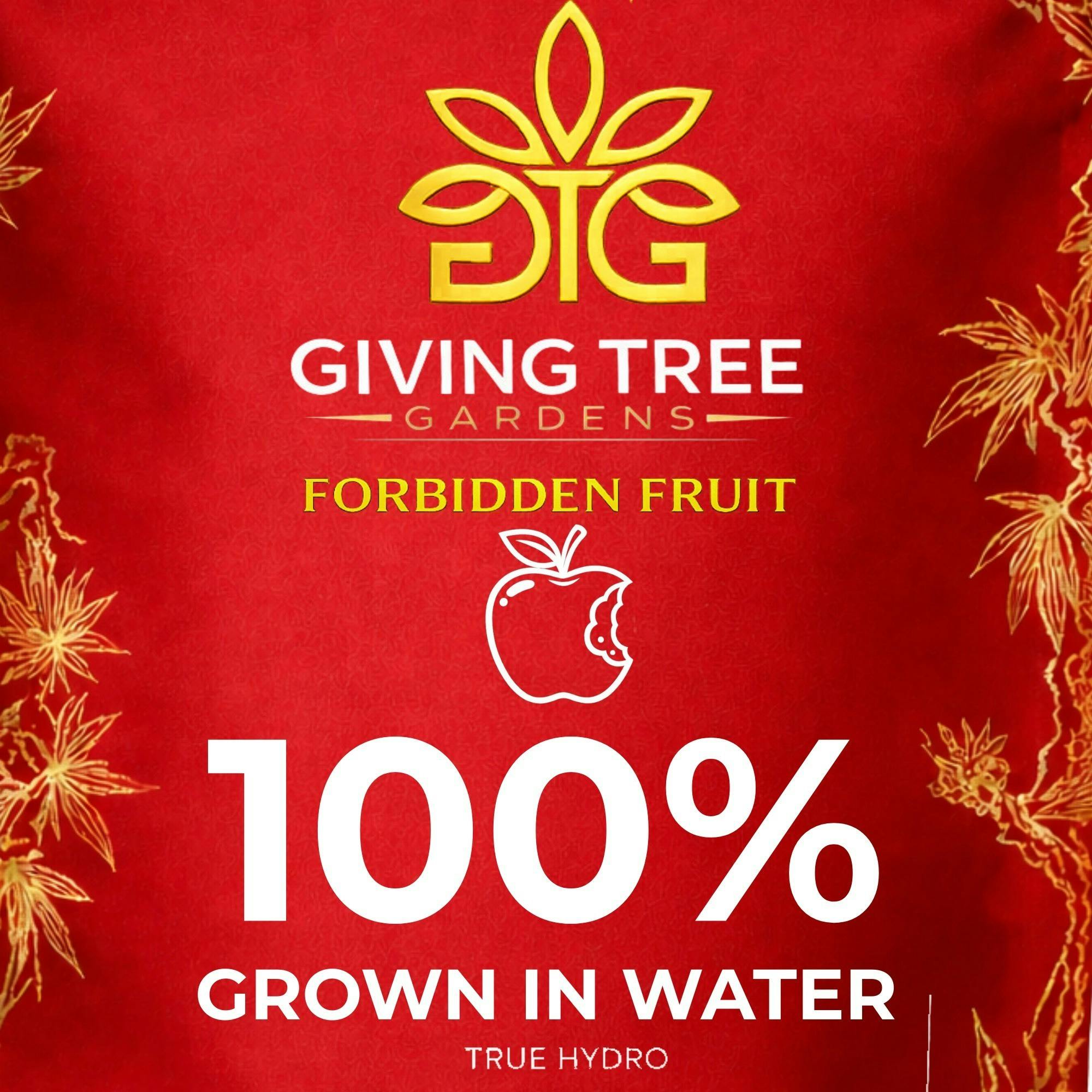 Giving Tree | Forbidden Fruit