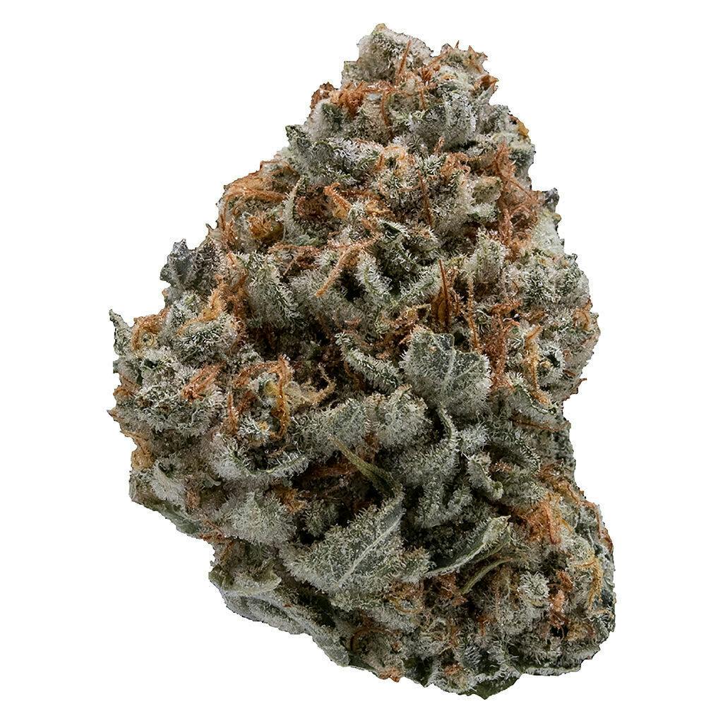 Black Domina Craft Flower