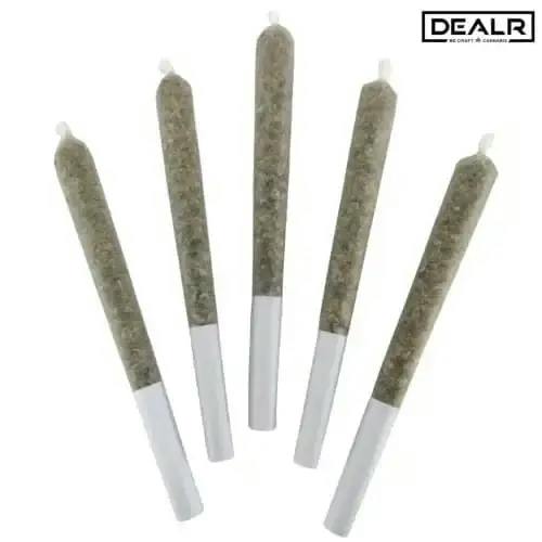 DEALR | Jelly Beanz Pre-Rolls | 5x0.5g