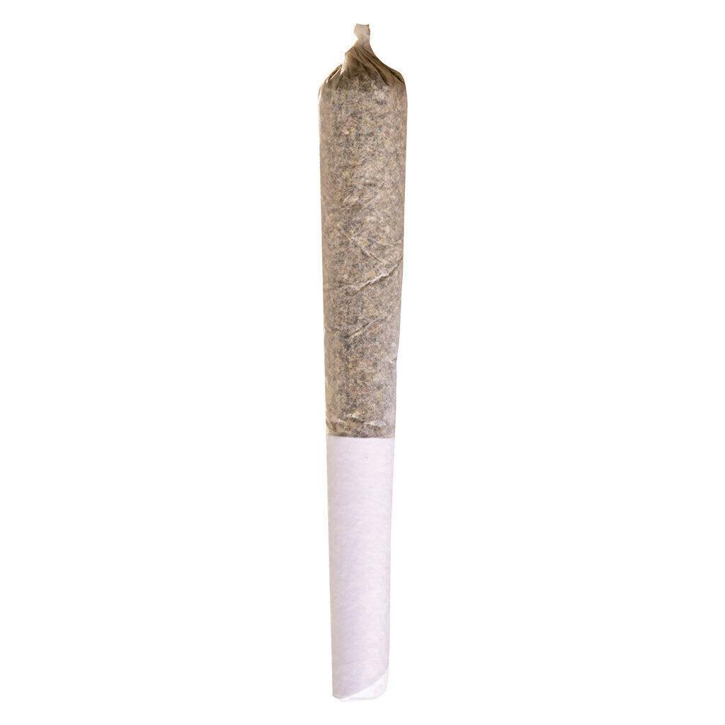 Potluck | Mango Dream Pre-Roll | 1x0.5g