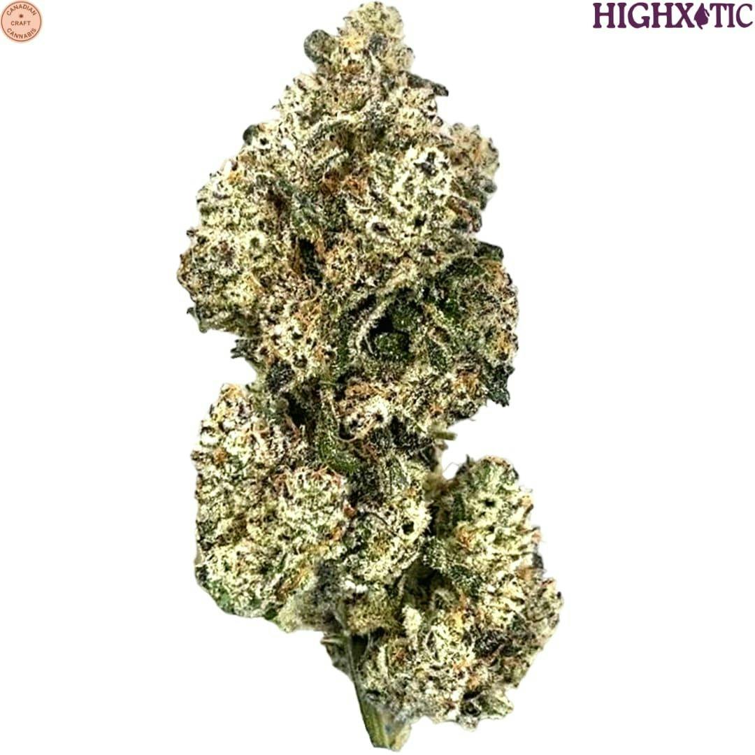 HighXotic | Royal Dive#5: Purple Zombie Craft Flower | 3.5g