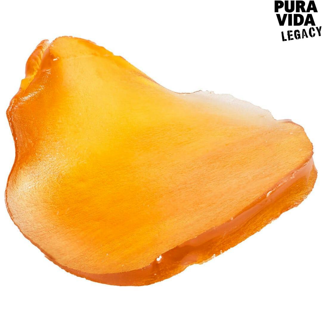 Pura Vida | Fatso Jumbo Slab Shatter | 1.2g