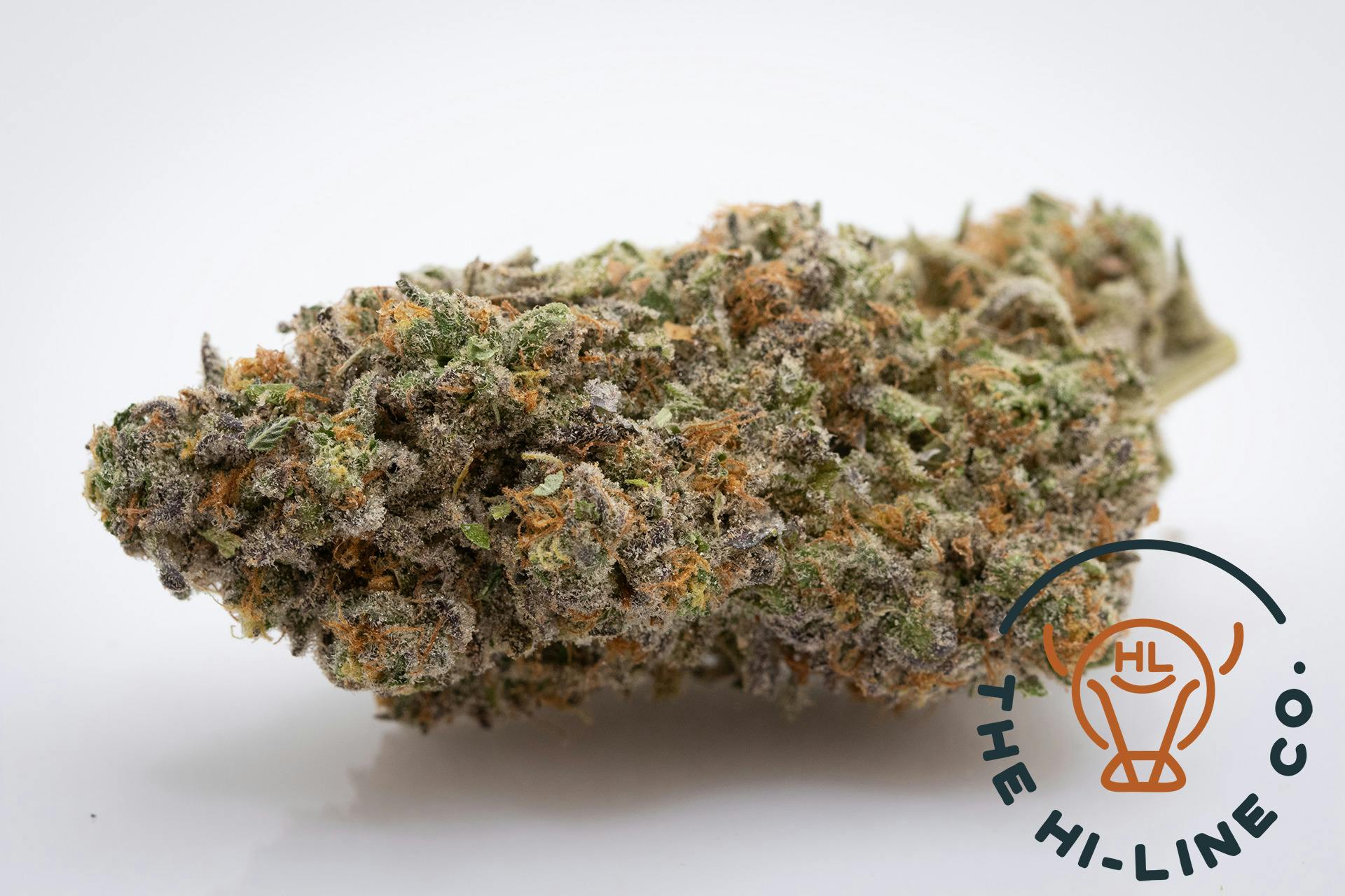 Gelato