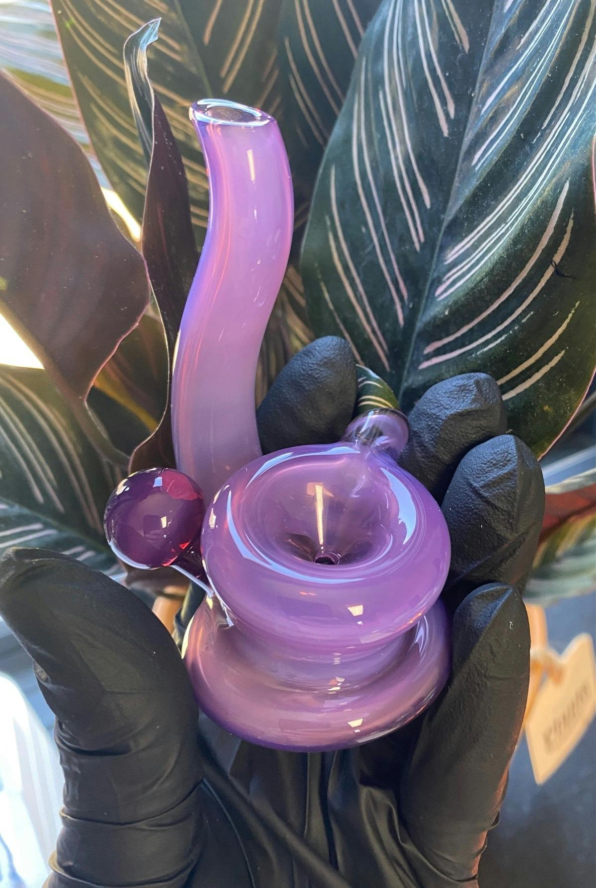 Evolve-Evolve Glass - Purple Squatlock