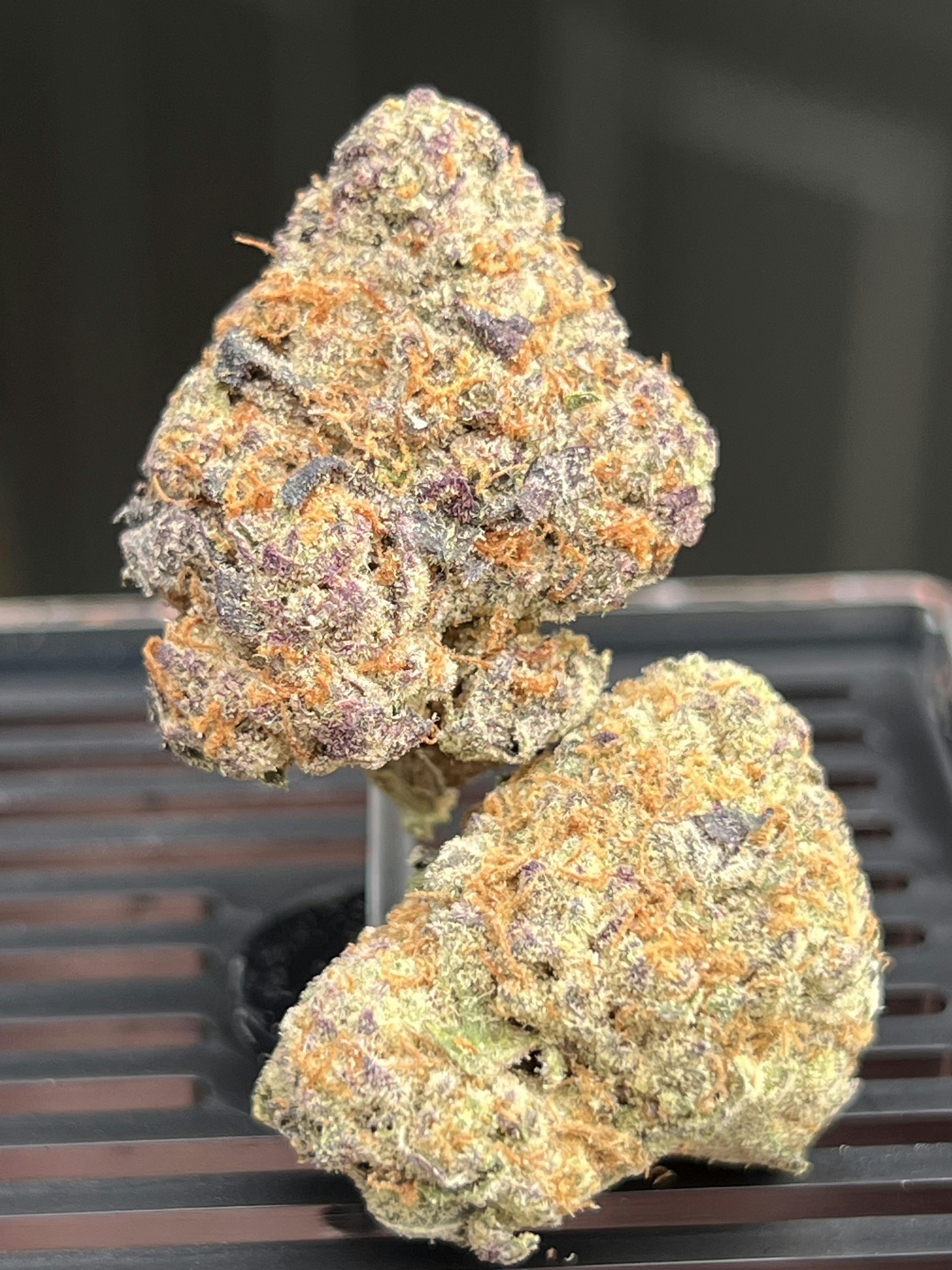 Bud Doctor-Bud Doctor - Tropicana Cherry at The Stash & Co.