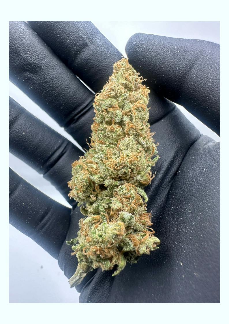 Chem 91 cannabis product