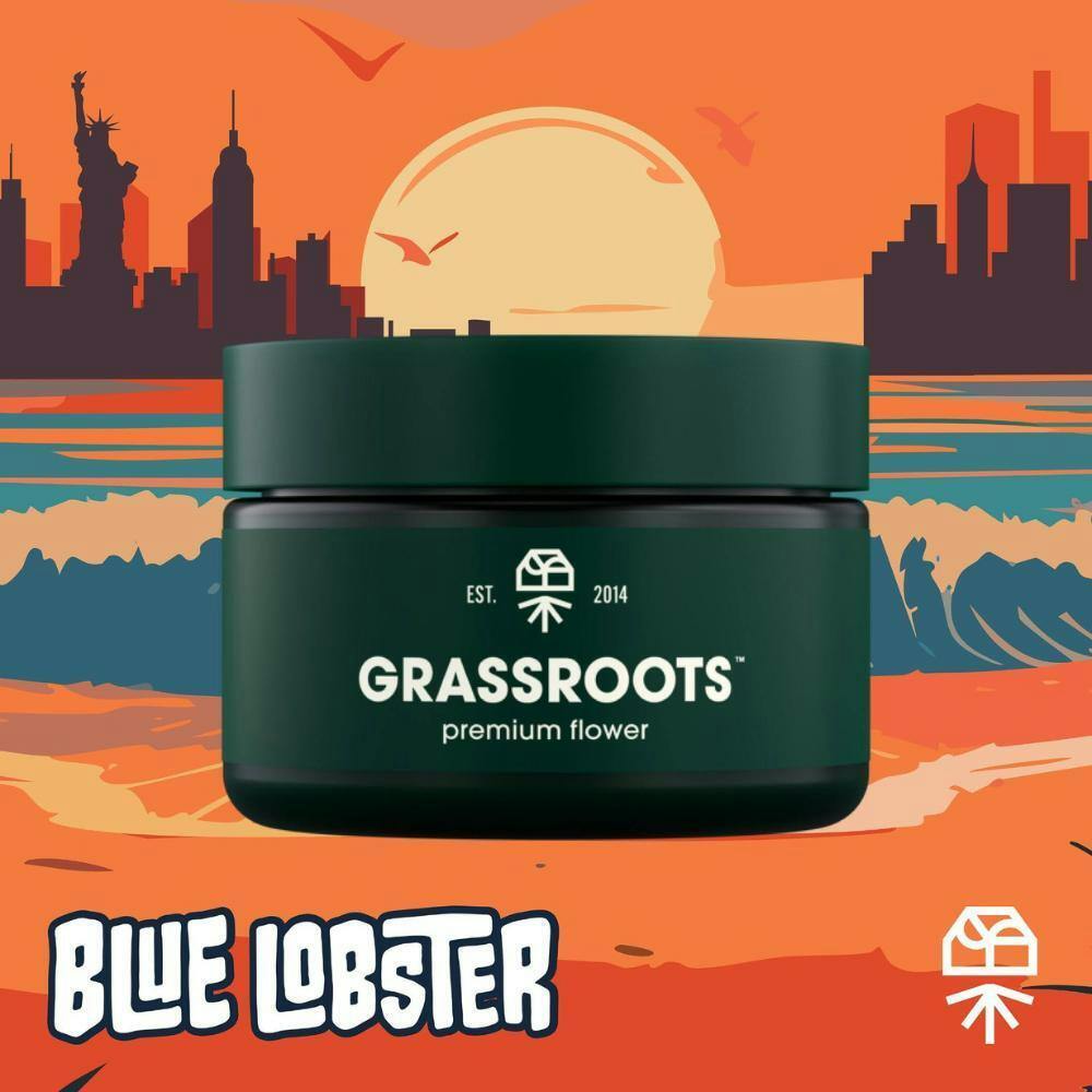 GRASSROOTS | JAR FLOWER | BLUE LOBSTER | 3.5G at The Cannabis Depot