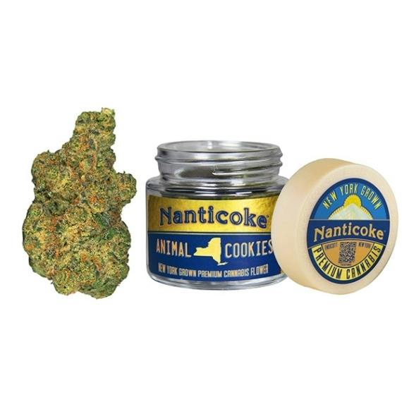 NANTICOKE | JAR FLOWER | PLUTO | 3.5G at The Cannabis Depot