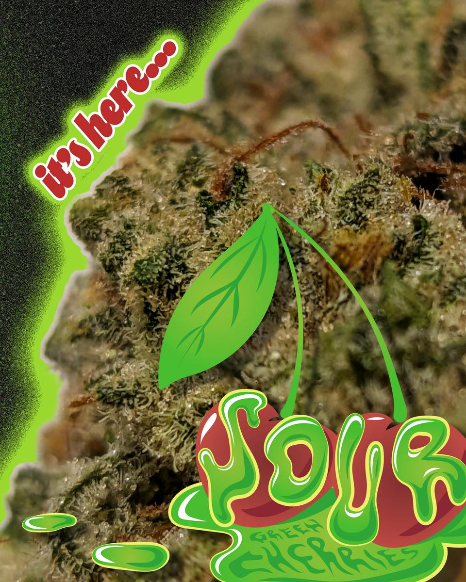 GR Sour Green Cherries Bud