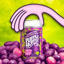 WELLSPRING FIELDS - PURPLE ZURPLE - ELIXIR - [55MG] - 1PK