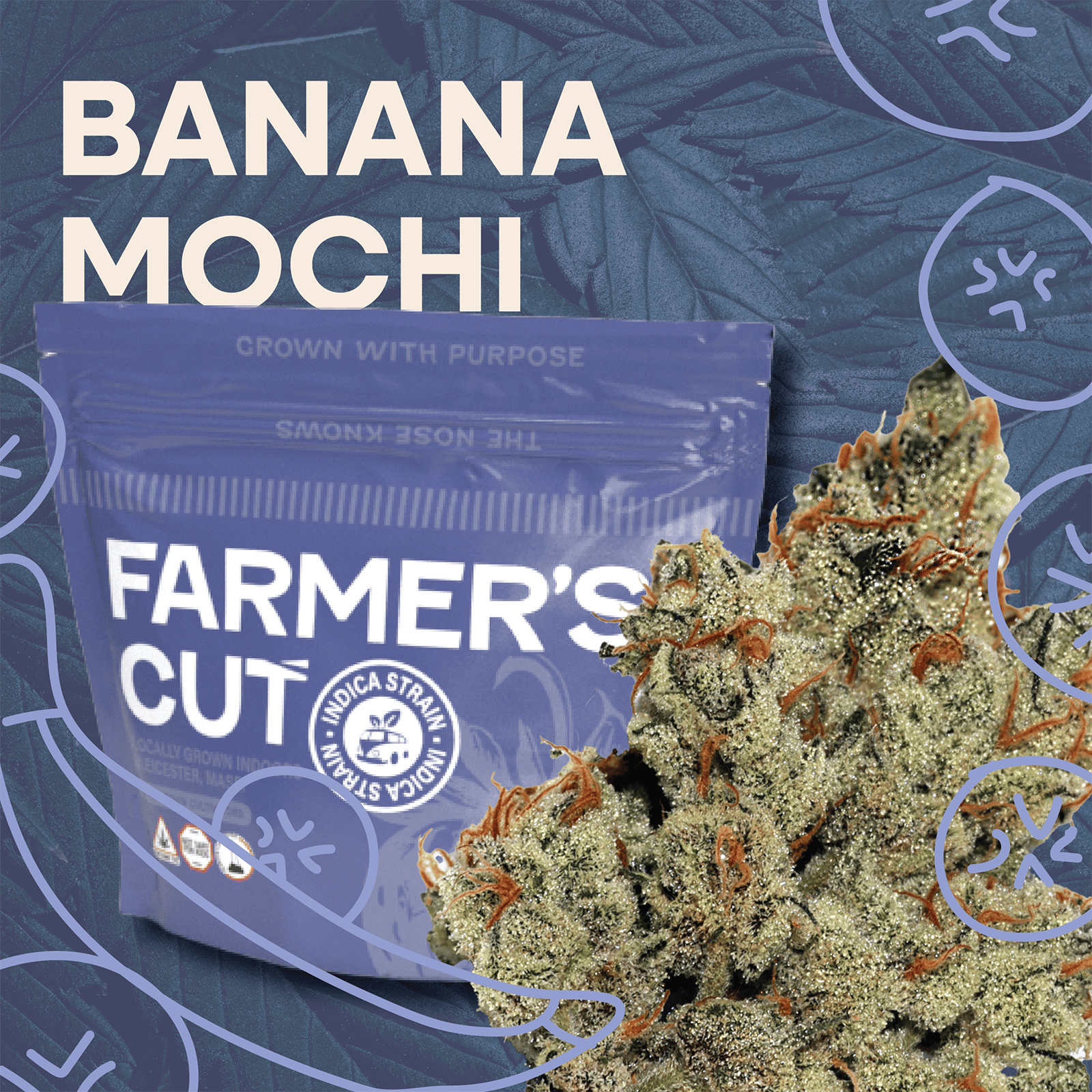 Banana Mochi 2492