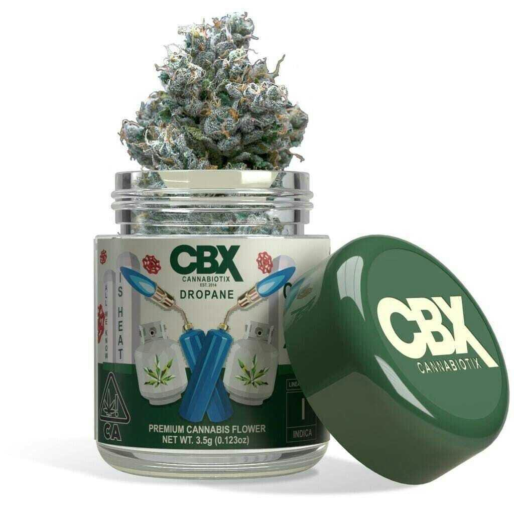Cbx - Zaalander