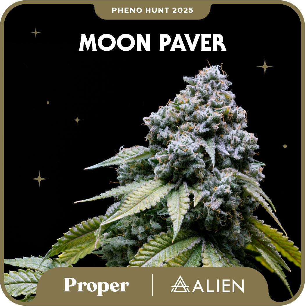 Proper | Moonpaver #10 3.5g