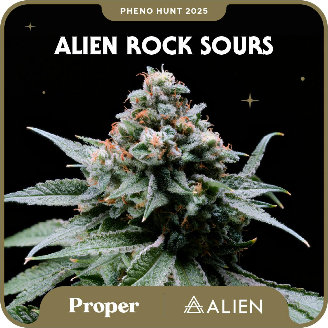 Proper | Alien Rock Sours #14 3.5g