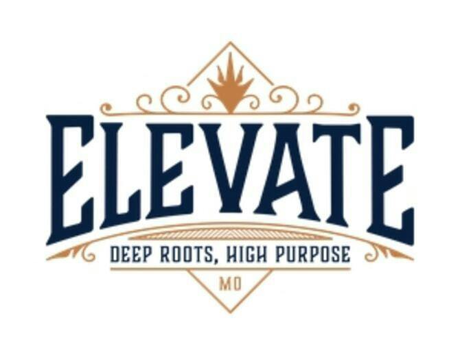 Elevate | Blazed Doughnut 3.5g | Tier 2