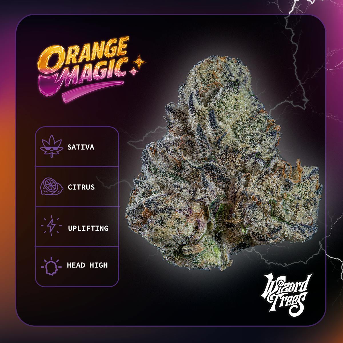 WIZARD TREES: Orange Magic