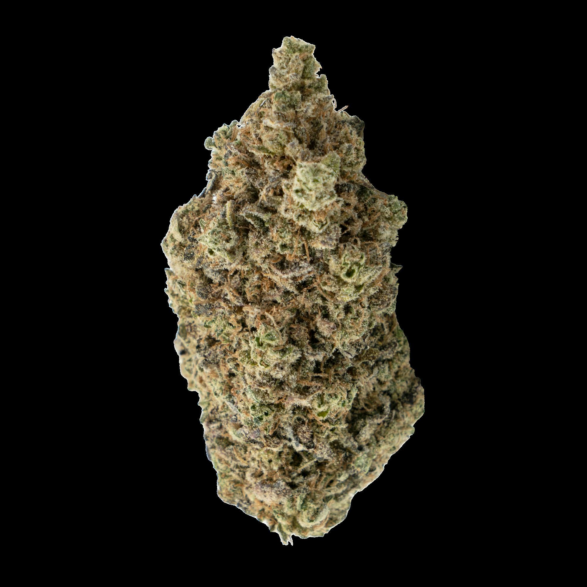 Tropical Temptress 7.0G