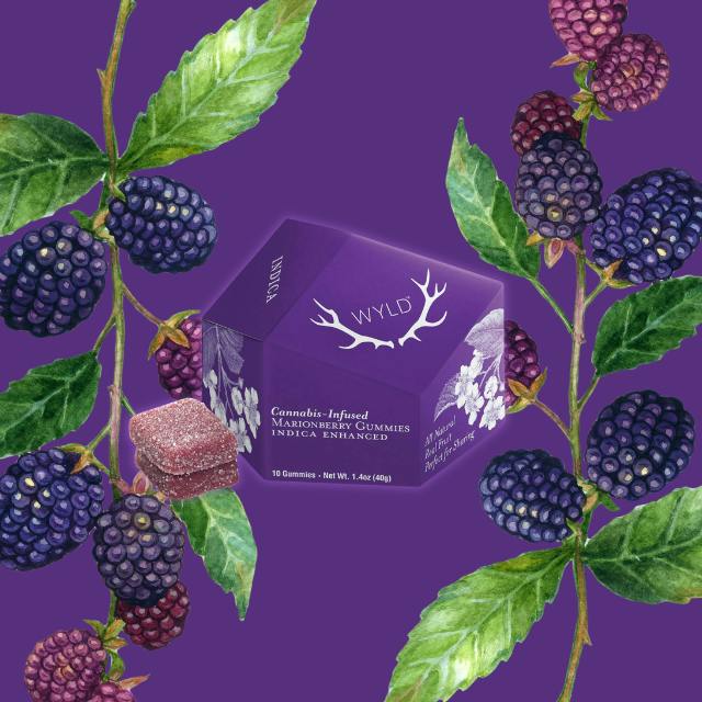 GUMMIES | MARIONBERRY